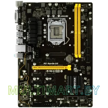 Материнская плата BIOSTAR TB250-BTC+ Ver. V6.3